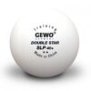 Gewo-SLP-10-40-2-small-2234-517-1.jpg Gewo Double Star SLP ** (plast) x72